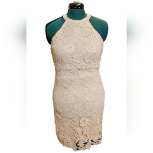 Lulu’s Love Poem Pretty Pink Lace Mini Dress Size‎ Large